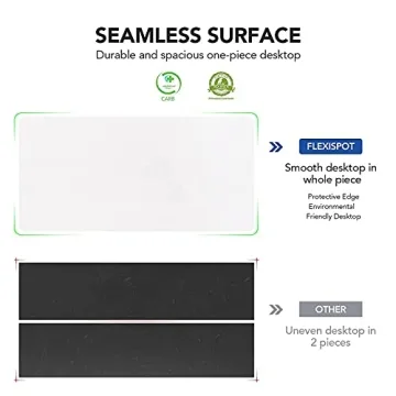 FLEXISPOT Quick Install Electric Height Adjustable Desk