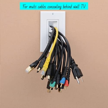 Wi4You Brush Wall Plate for Low Voltage Cable Management