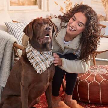 Milk-Bone Pup-kin Spice Biscuit Treats for Dogs