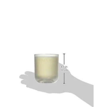 Tocca Salt Air & Cucumber Scented Candle - Frosted Glass, Hand-Poured Candle, 60 Hour Burn Time, 10 oz.