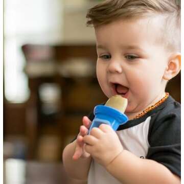 Nuby Garden Fresh Fruitsicle Frozen Pop Tray