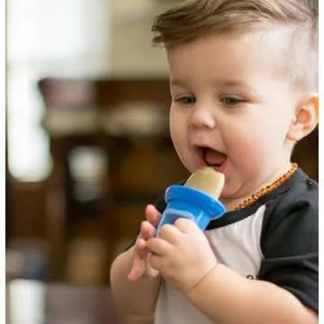 Nuby Garden Fresh Fruitsicle Molds for Baby Pops