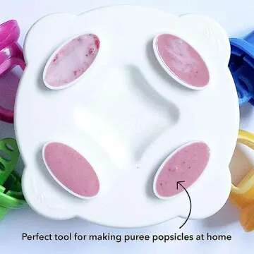Nuby Garden Fresh Fruitsicle Molds for Baby Pops