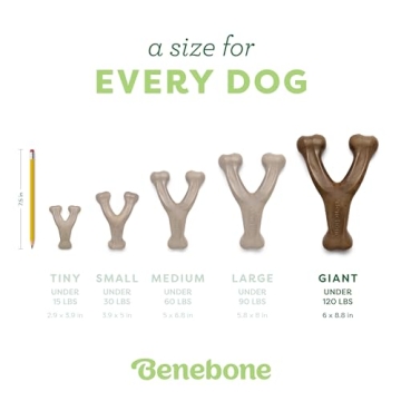 Buy Benebone Durable Dog Chew Toy – Real Peanut Flavor