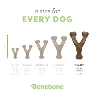 Buy Benebone Durable Dog Chew Toy – Real Peanut Flavor