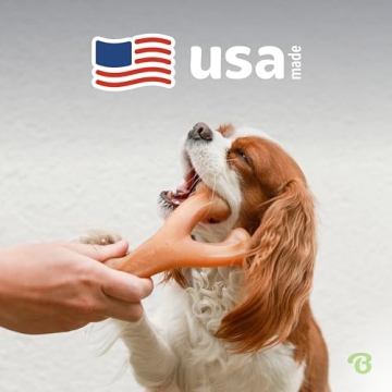 Buy Benebone Durable Dog Chew Toy – Real Peanut Flavor