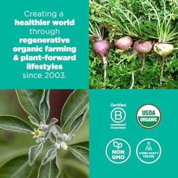 Navitas Organics Superfood+ Adaptogen Blend for Stress Support (Maca + Reishi + Ashwagandha), 6.3oz Bag, 30 Servings — Organic, Non-GMO, Vegan, Gluten-Free, Keto & Paleo.