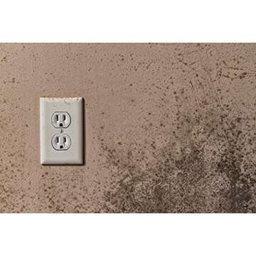 Concrobium 29665 Mold Stain Eraser, 22.9 oz.