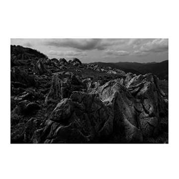 Tamron 17-70mm F/2.8 Di III-A RXD for APS-C Fujifilm Mirrorless Cameras