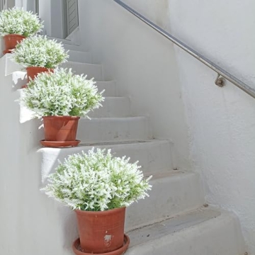 JIFTOK Lavender Flowers 24 Pcs Faux Plants for Decor