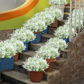 JIFTOK Lavender Flowers 24 Pcs Faux Plants for Decor