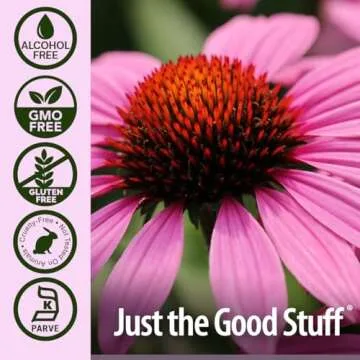 Nature's Answer Echinacea Alcohol Free Extract 1 Fluid Ounce | Promotes Overall Wellness | Natural Immune Booster | Inflammatory Reducer