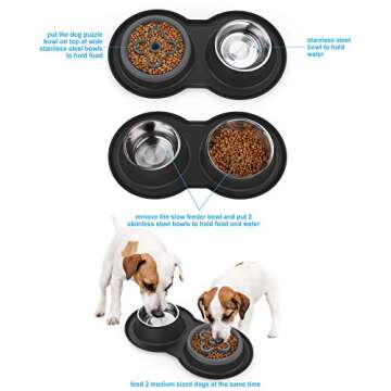 BurgeonNest Slow Feeder Dog Bowls,27oz 4-in-1 Food and Water Bowls with No-Spill and Non-Skid Silicone Mat, Stainless Steel Slow Down Eating Puzzle Set for Medium Small Sized Dogs