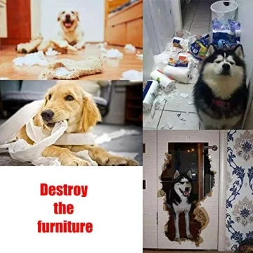 AWOOF Pet Snuffle Mat for Dogs - Interactive Feeding Toy