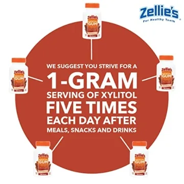 Sugar Free Cinnamon Chewing Gum by Zellie's (100 Count)