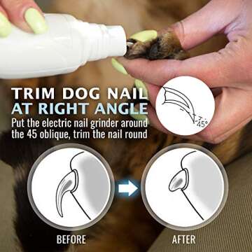 REXIPETS Electric Pet Nail Grinder for Safe Grooming