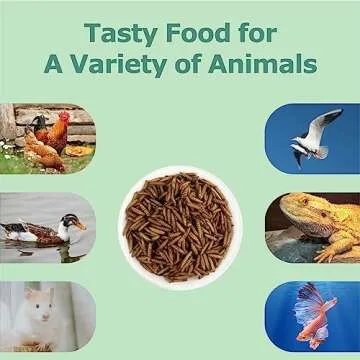 WORMSKING 5.5LB Dried Black Soldier Fly Larvae, More Calcium Than Dried Mealworms, High Protein Chicken Feed, Poultry Treat