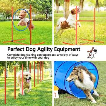 XiaZ Dog Agility Course Equipments, Obstacle Agility Training Starter Kit for Doggie, Pet Outdoor Games - Dog Tunnels, 8 Piece Weave Poles, Jumping Ring, High Jumps, Pause Box
