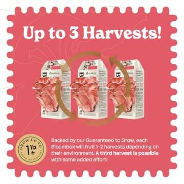 NuBlume Pink Oyster Mushroom Grow Kit for Home Growing