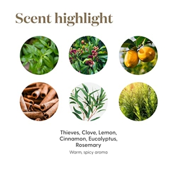 Thieves Cleaner 14.4 oz | Ultra-Concentrated Formula with Thieves Essential Oil | Mix with Water | Perfect for Carpets, Floors, Mirrors & Highchairs