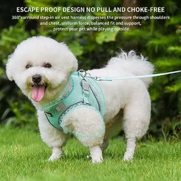 AIITLE Small Dog Harness | Reflective & Comfortable Dog Vest