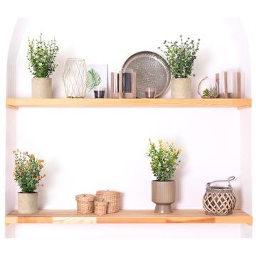 Chic SUNPRAIRIE Faux Plants Set - Zero Maintenance Indoor Decor