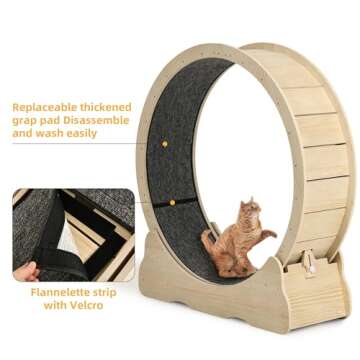 DWVO Cat Wheel Exerciser for Indoor, 43.3 inch Large Cat Exercise Wheel for Running Silent, Cat Treadmill for with Safety Lock for Kitty's Weight Loss, Fitness and Health