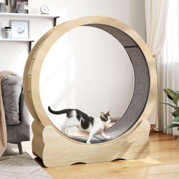 DWVO Cat Wheel Exerciser for Indoor, 43.3 inch Large Cat Exercise Wheel for Running Silent, Cat Treadmill for with Safety Lock for Kitty's Weight Loss, Fitness and Health