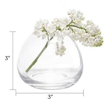 CHIVE ‘George’ Glass Bottle Flower Vases — Set of 6 — Small, Elegant Clear Glass Bud Vases — Bulk Pack for Home Decor & Table Centerpieces — Shape 3 (Oval, 3” Tall, 3” Wide)