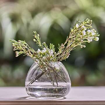 CHIVE ‘George’ Glass Bottle Flower Vases — Set of 6 — Small, Elegant Clear Glass Bud Vases — Bulk Pack for Home Decor & Table Centerpieces — Shape 3 (Oval, 3” Tall, 3” Wide)