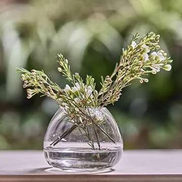 Chive George Glass Bud Vases Set for Elegant Home Decor