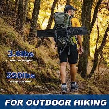 WEIDIORME 2 Pack Lightweight Camping Chairs for Adults & Teens, 250LBS Capacity Foldable Portable Chairs with Carry Bag, Compact Design for Camping, Beach, Picnics, and Outdoor Events