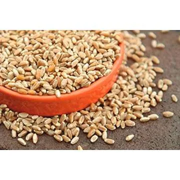 Cat Grass Seeds by Perfect Plants - 1lb. Bag - Guaranteed to Grow Organic Non-GMO Hard Red Wheat Grass Seed | Digestive Aid for Cats and Other Pets | Easy Sprouting | Edible Sprouted Microgreens