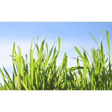 Cat Grass Seeds by Perfect Plants - 1lb. Bag - Guaranteed to Grow Organic Non-GMO Hard Red Wheat Grass Seed | Digestive Aid for Cats and Other Pets | Easy Sprouting | Edible Sprouted Microgreens