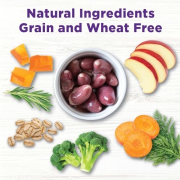 Wellness CORE Digestive Health Dog Food Topper - 4 Ounces