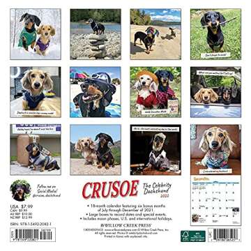 Crusoe the Celebrity Dachshund 2022 Mini Wall Calendar - Adorable Art for Your Wall