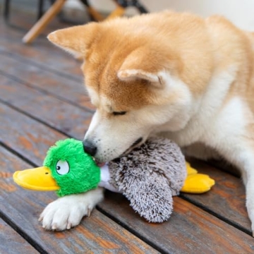 Best Pet Supplies Mallard Duck Toy for Small Dogs
