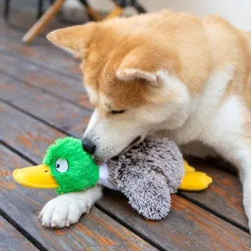 Best Pet Supplies Mallard Duck Toy for Small Dogs