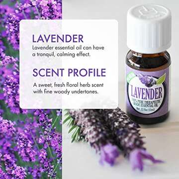 Healing Solutions 10ml Oils - Lavender Essential Oil - 0.33 Fluid Ounces