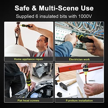 Insulated Electric Screwdriver Set with Rechargeable Battery