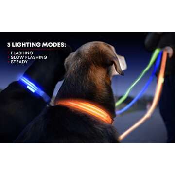 Illumiseen LED Dog Collar USB Rechargeable - Bright & High Visibility Lighted Glow Collar for Pet Night Walking - Weatherproof, in 6 Colors & 6 Sizes (Green Large)