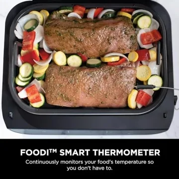 Smart 6-in-1 Ninja Indoor Grill & Air Fryer