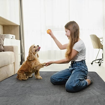 LOOBANI Extra Large Reusable Dog Mat for Floor Protection