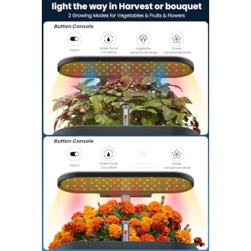 InBloom Hydroponics Growing System for Indoor Gardening