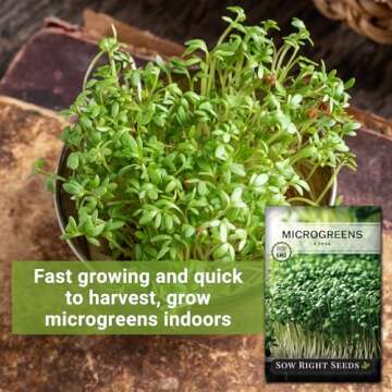 Sow Right Seeds - Cress Microgreen Seed for Growing - Instructions to Quickly Grow Delicious and Healthy Microgreens - Plant Indoors with no Special Equipment - Super Easy Superfood Sprouts