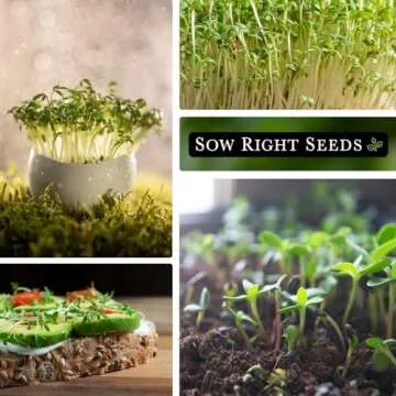 Sow Right Seeds - Cress Microgreen Seed for Growing - Instructions to Quickly Grow Delicious and Healthy Microgreens - Plant Indoors with no Special Equipment - Super Easy Superfood Sprouts