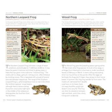 National Geographic Pocket Guide for Reptiles & Amphibians