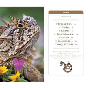 National Geographic Pocket Guide for Reptiles & Amphibians