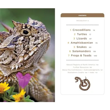 National Geographic Pocket Guide for Reptiles & Amphibians