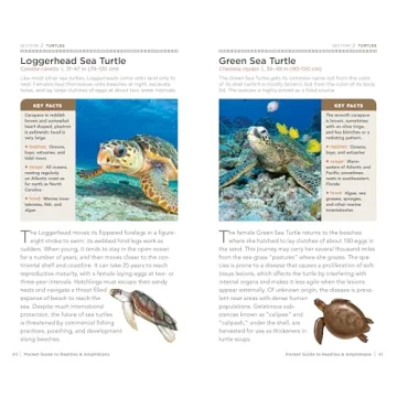 National Geographic Pocket Guide for Reptiles & Amphibians